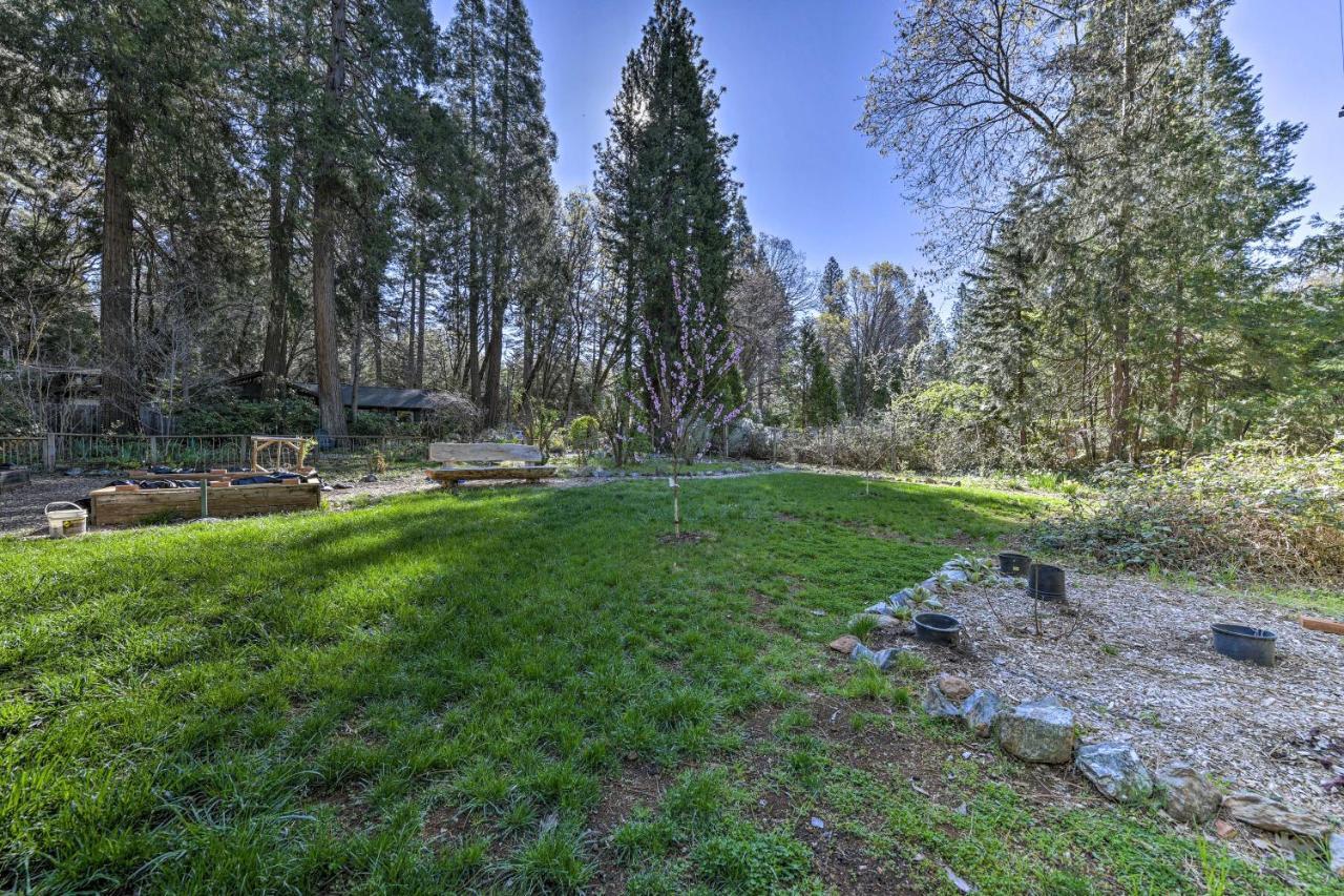 Peaceful Grass Valley Cottage With Bbq Grill And Yard! Extérieur photo