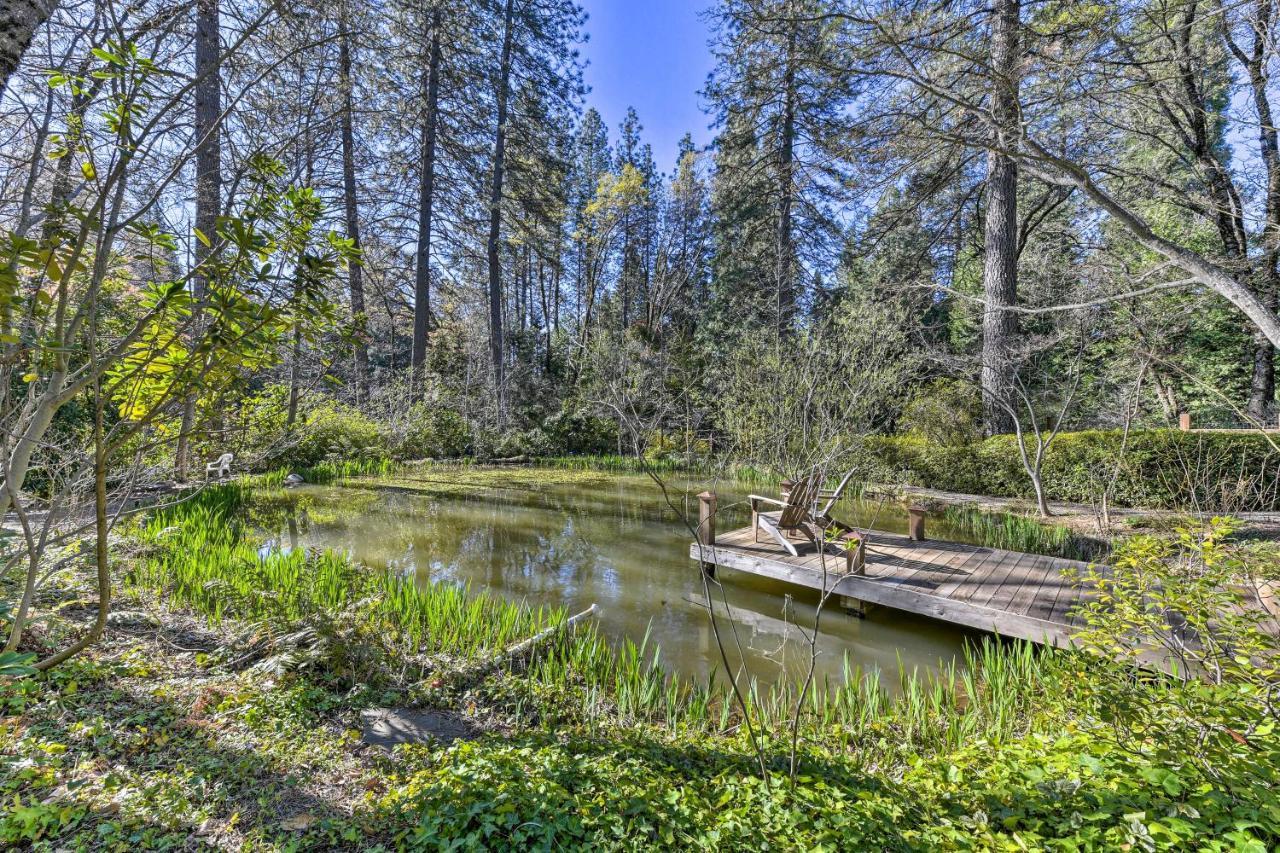 Peaceful Grass Valley Cottage With Bbq Grill And Yard! Extérieur photo
